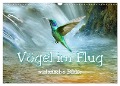 Vögel im Flug - malerische Bilder (Wandkalender 2024 DIN A3 quer), CALVENDO Monatskalender - Liselotte Brunner-Klaus