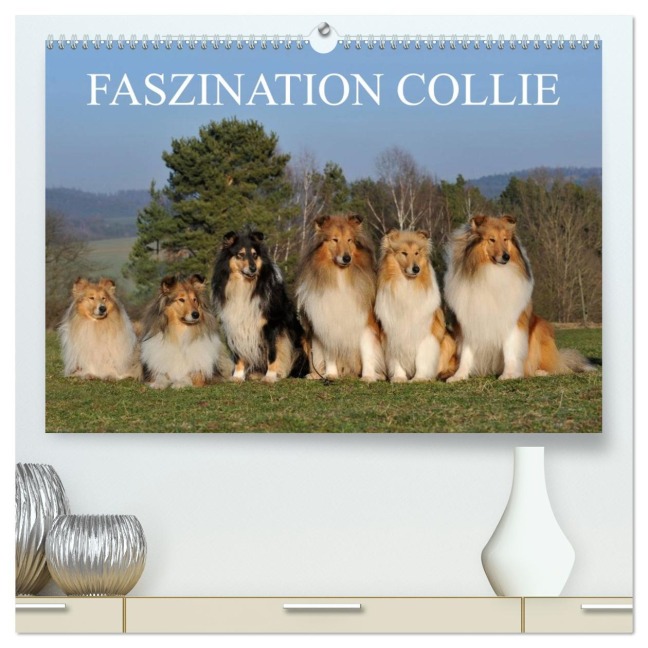 Faszination Collie 2026 (hochwertiger Premium Wandkalender 2026 DIN A2 quer), Kunstdruck in Hochglanz - Sigrid Starick