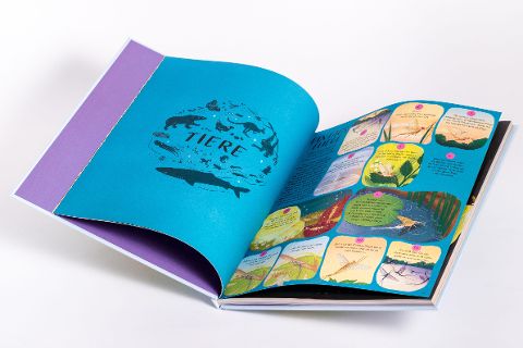InsideView 4