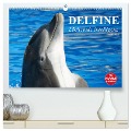 Delfine - Lächelnde Intelligenz (hochwertiger Premium Wandkalender 2024 DIN A2 quer), Kunstdruck in Hochglanz - Elisabeth Stanzer