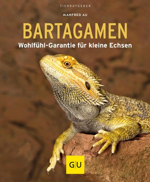 Bartagamen - Manfred Au