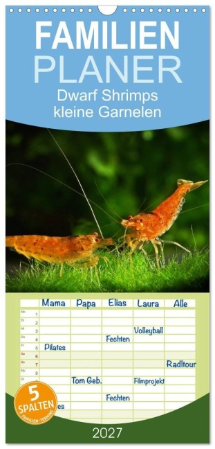 Familienplaner 2027 - Dwarf Shrimps - kleine Garnelen mit 5 Spalten (Wandkalender, 21 x 45 cm) CALVENDO - Rudolf Pohlmann