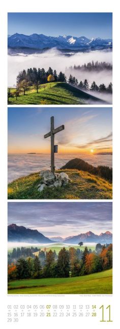 InsideView 11