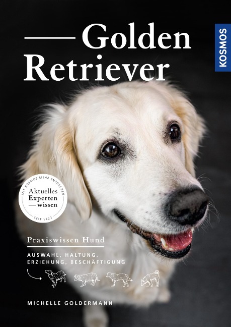 Golden Retriever - Michelle Goldermann