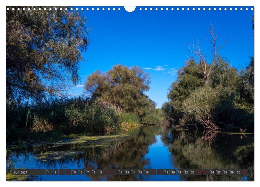 InsideView 12
