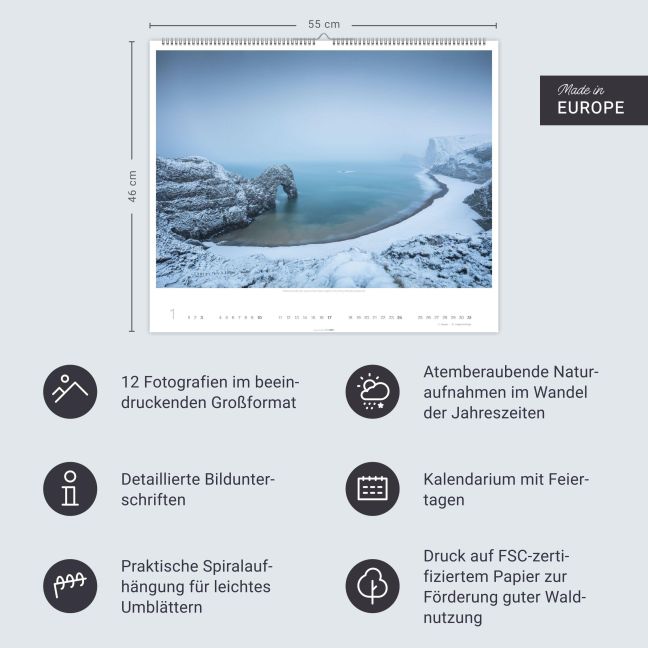 InsideView 13