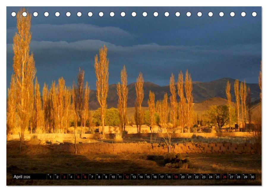 InsideView 9