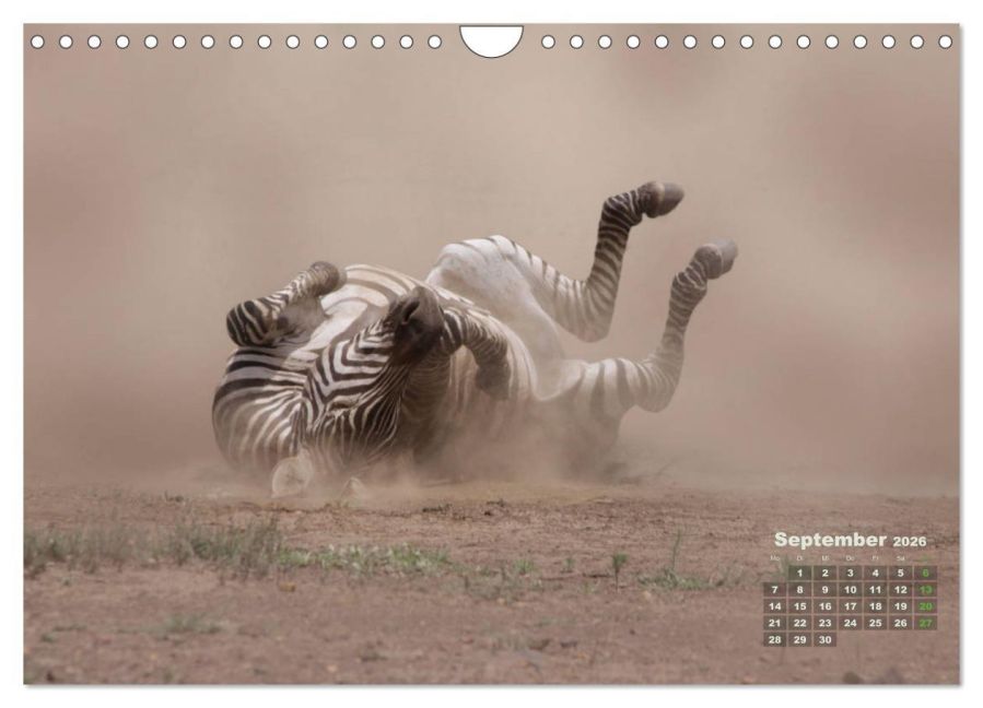 InsideView 14