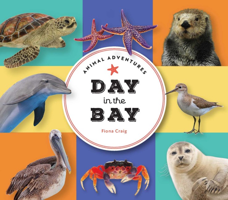Animal Adventures: Day in the Bay - Fiona Craig