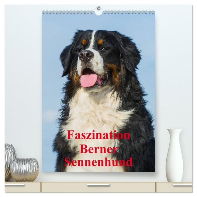 Faszination Berner Sennenhund (hochwertiger Premium Wandkalender 2026 DIN A2 hoch), Kunstdruck in Hochglanz - Sigrid Starick