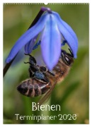 Cover-Bild zum Titel 'Bienen-Terminplaner 2026 (Wandkalender 2026 DIN A2 hoch), CALVENDO Monatskalender' von 'Silvia Hahnefeld'