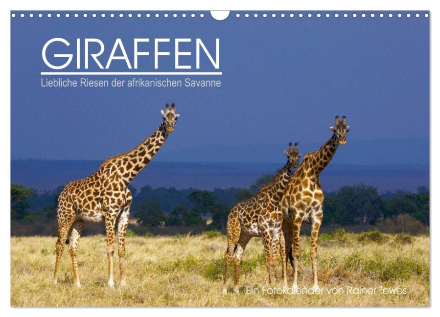 GIRAFFEN - Liebliche Riesen der afrikanischen Savanne (Wandkalender 2026 DIN A3 quer), CALVENDO Monatskalender - Rainer Tewes