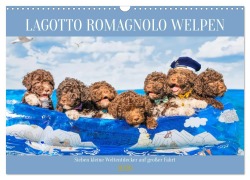 Cover-Bild zum Titel 'Lagotto Romagnolo Welpen - Sieben kleine Weltentdecker auf großer Fahrt (Wandkalender 2026 DIN A3 quer), CALVENDO Monatskalender' von 'Sigrid Starick'
