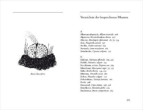 InsideView 4