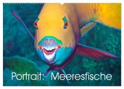 Cover-Bild zum Titel 'Portrait: Meeresfische (Wandkalender 2026 DIN A2 quer), CALVENDO Monatskalender' von 'Ute Niemann'