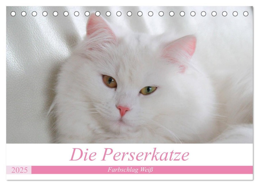 Die Perserkatze - Farbschlag Weiß (Tischkalender 2025 DIN A5 quer), CALVENDO Monatskalender - Arno Klatt