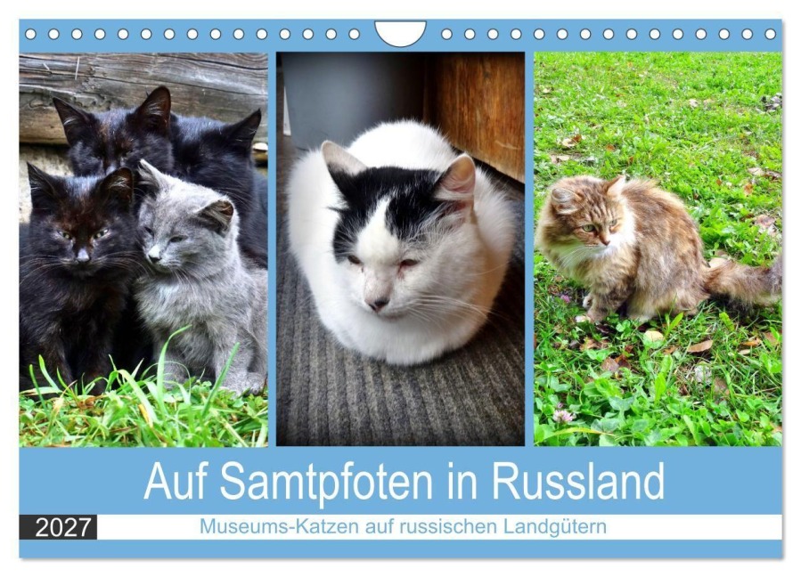 Auf Samtpfoten in Russland - Museums-Katzen auf russischen Landgütern (Wandkalender 2027 DIN A4 quer), CALVENDO Monatskalender - Henning von Löwis of Menar