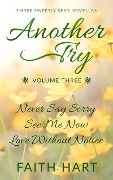 Another Try Volume 3 (Another Try Boxsets, #3) - Faith Hart