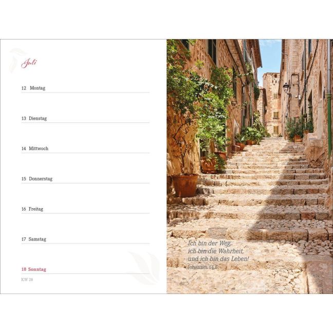 InsideView 16