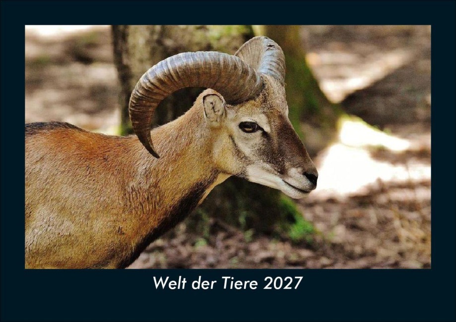 Welt der Tiere 2027 Fotokalender DIN A5 - Tobias Schmitt, Kevin Heber