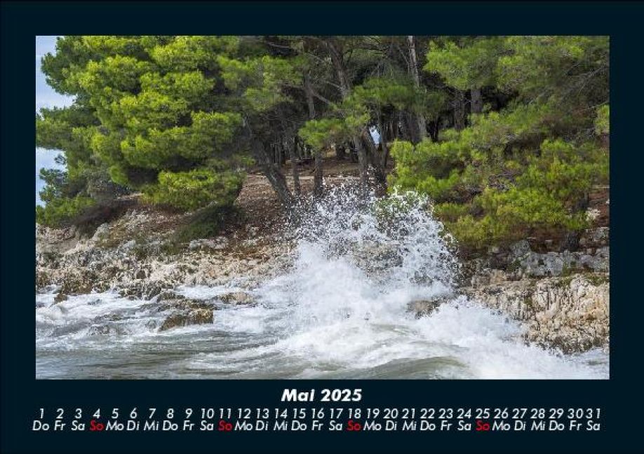 InsideView 9