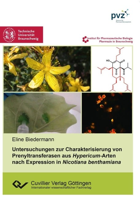 Untersuchungen zur Charakterisierung von Prenyltransferasen aus Hypericum-Arten nach Expression in Nicotiana benthamiana - Eline Biedermann