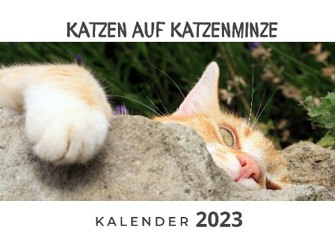 Katzen auf Katzenminze - Tim Fröhlich