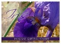 Iris - mondäne Gartenschönheit (Wandkalender 2025 DIN A2 quer), CALVENDO Monatskalender - Christine B-B Müller