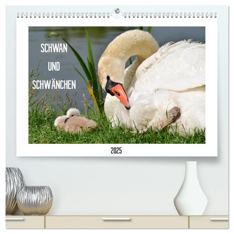 SCHWAN UND SCHWÄNCHEN (hochwertiger Premium Wandkalender 2025 DIN A2 quer), Kunstdruck in Hochglanz - Marlise Gaudig