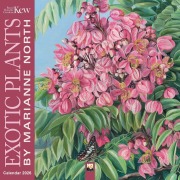 Marianne North, Exotic Plants - Exotische Pflanzen 2026 - Original Flame Tree Publishing-Kalender [Kalender] - Tree Flame