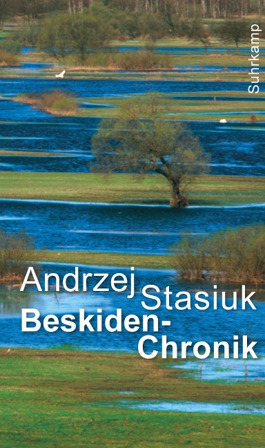 Beskiden-Chronik - Andrzej Stasiuk