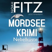 Cover-Bild zum Titel 'Nebelküste' von 'Noah Fitz'