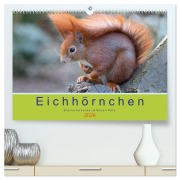 Eichhörnchen - Kleine Kobolde im Roten Pelz (hochwertiger Premium Wandkalender 2026 DIN A2 quer), Kunstdruck in Hochglanz - Margret Brackhan