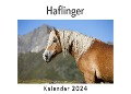 Haflinger (Wandkalender 2024, Kalender DIN A4 quer, Monatskalender im Querformat mit Kalendarium, Das perfekte Geschenk) - Anna Müller