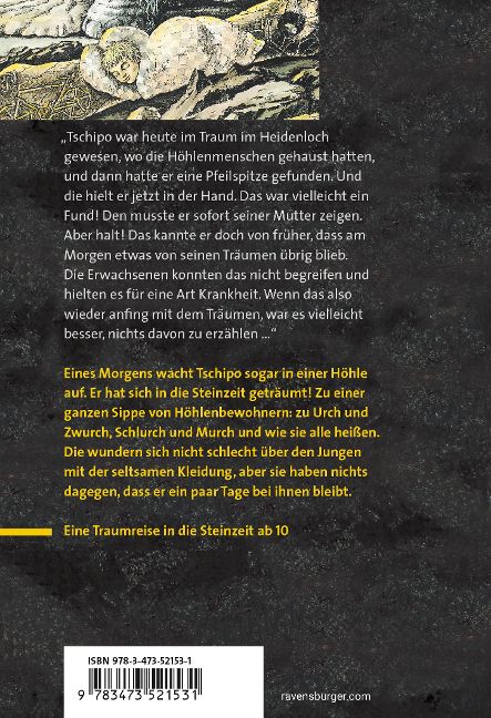 InsideView 2
