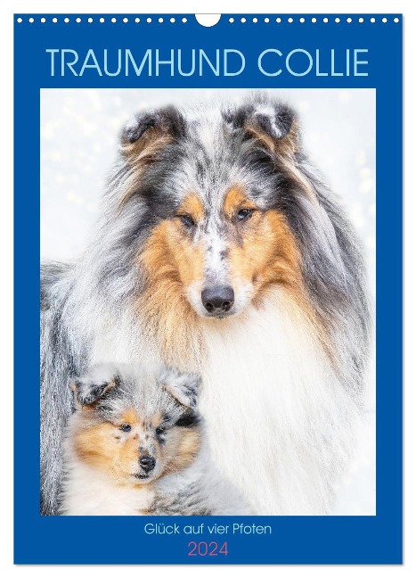 Traumhund Collie - Glück auf vier Pfoten (Wandkalender 2024 DIN A3 hoch), CALVENDO Monatskalender - Sigrid Starick