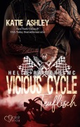 Cover-Bild zum Titel 'Vicious Cycle: Teuflisch' von 'Katie Ashley'