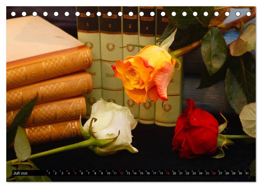 InsideView 12