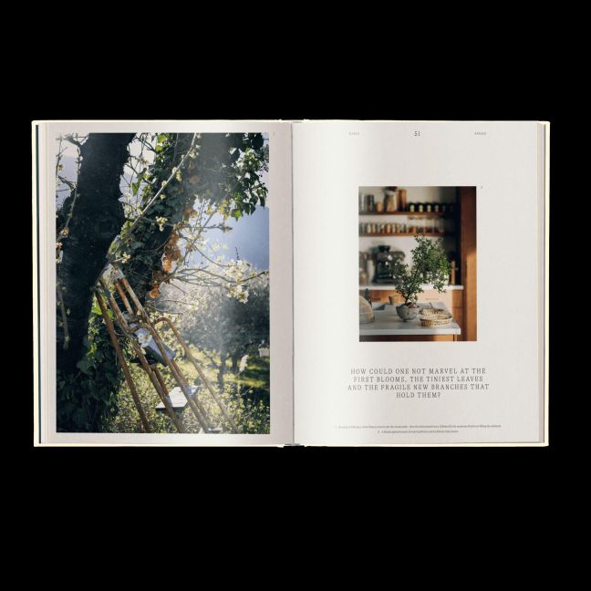 InsideView 2