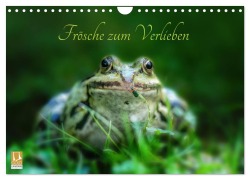 Cover-Bild zum Titel 'Frösche zum Verlieben (Wandkalender 2026 DIN A4 quer), CALVENDO Monatskalender' von 'Kathrin Gawlik'