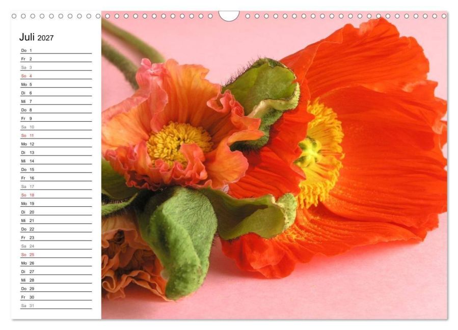InsideView 12