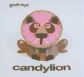 Candylion - Gruff Rhys