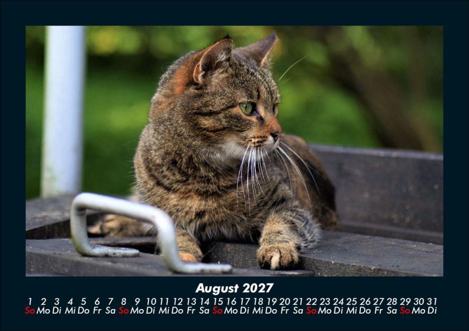 InsideView 12