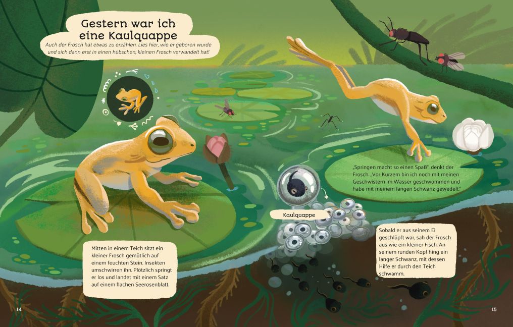 InsideView 7