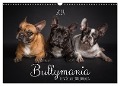 Bullymania - Französische Bulldoggen (Wandkalender 2024 DIN A3 quer), CALVENDO Monatskalender - Silke Gareis (SCHNAPP-Schuss)