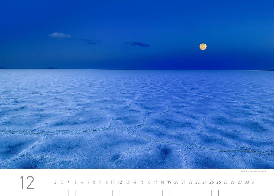 InsideView 12