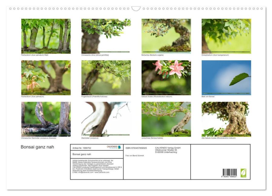 InsideView 5