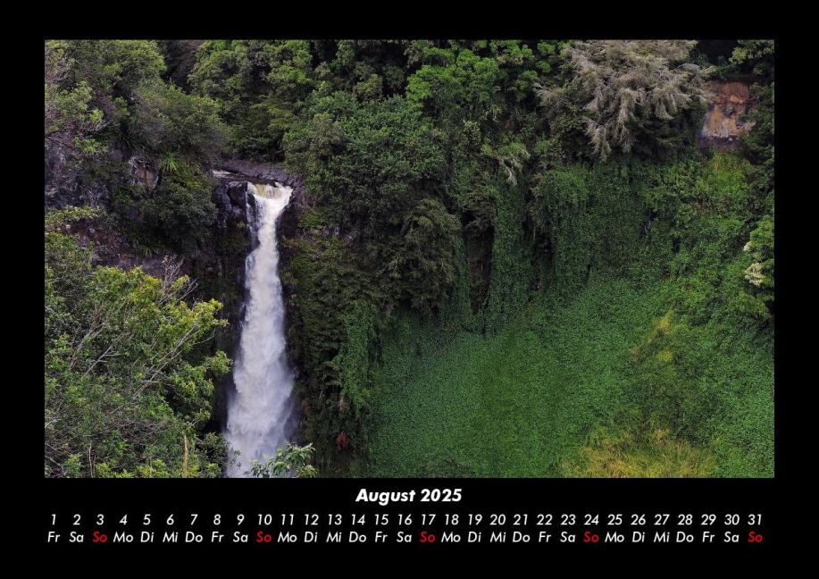 InsideView 12