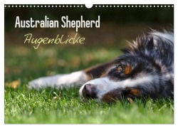 Cover-Bild zum Titel 'Australian Shepherd - Augenblicke (Wandkalender 2026 DIN A3 quer), CALVENDO Monatskalender' von 'David Andrey'