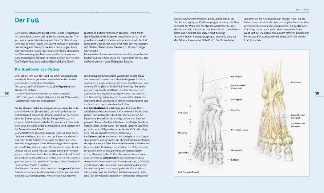 InsideView 3